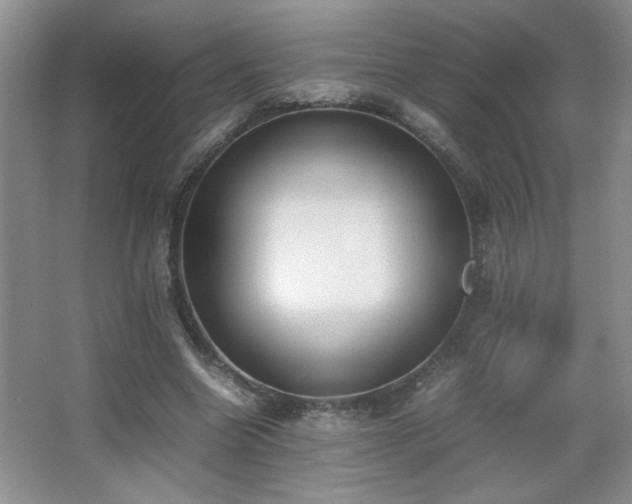 X0000067870538200604131239