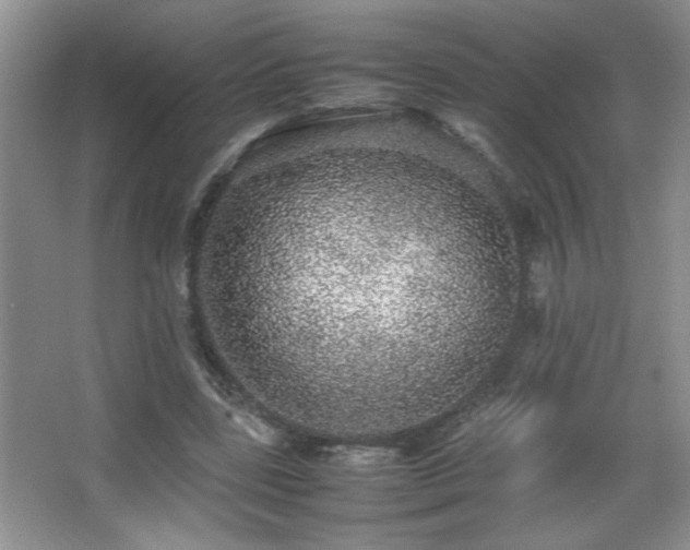 X0000067870539200604131239