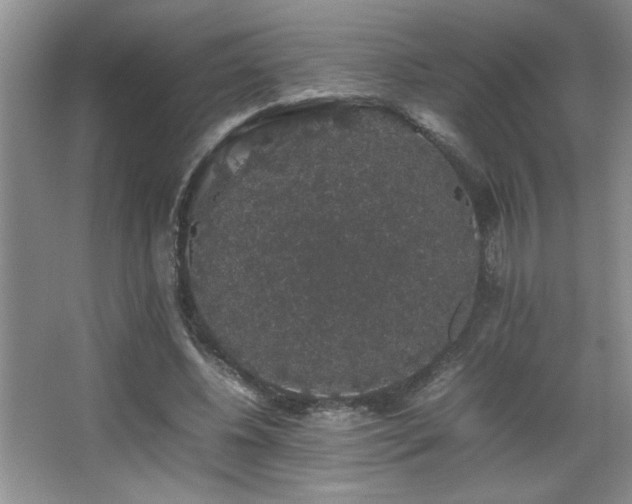 X0000067870540200604131239