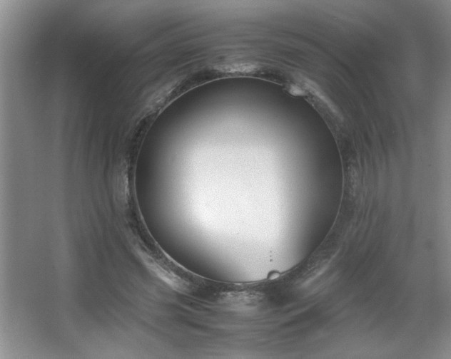 X0000067870541200604131239