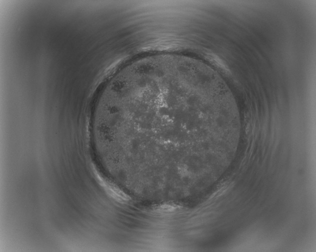 X0000067870542200604131239