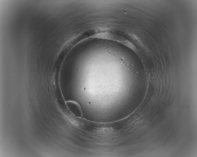 X0000067870543200604131239