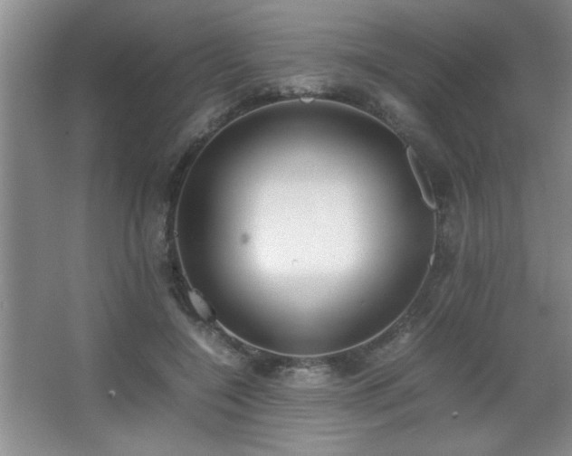 X0000067870548200604131239