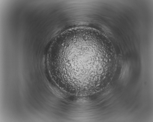 X0000067870550200604131239