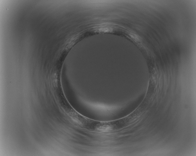 X0000067870551200604131239