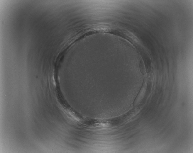 X0000067870552200604131239