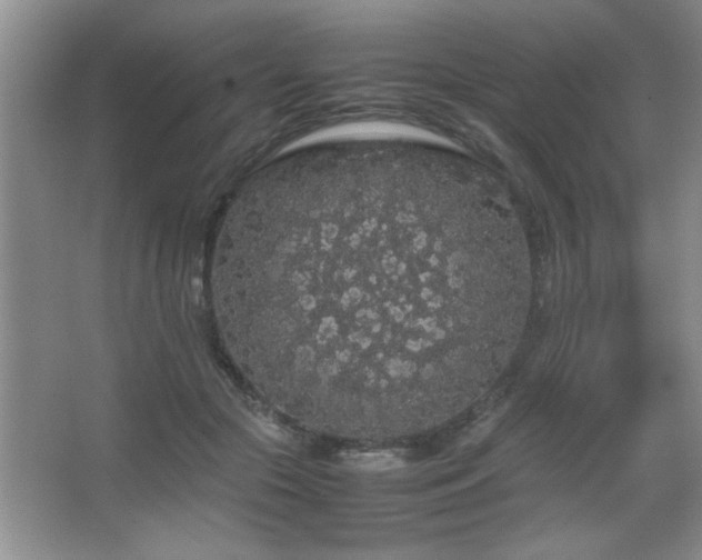 X0000067870553200604131239