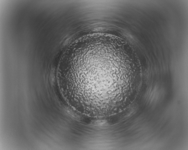 X0000067870554200604131239