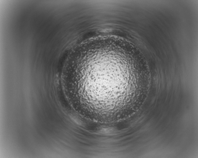 X0000067870555200604131239