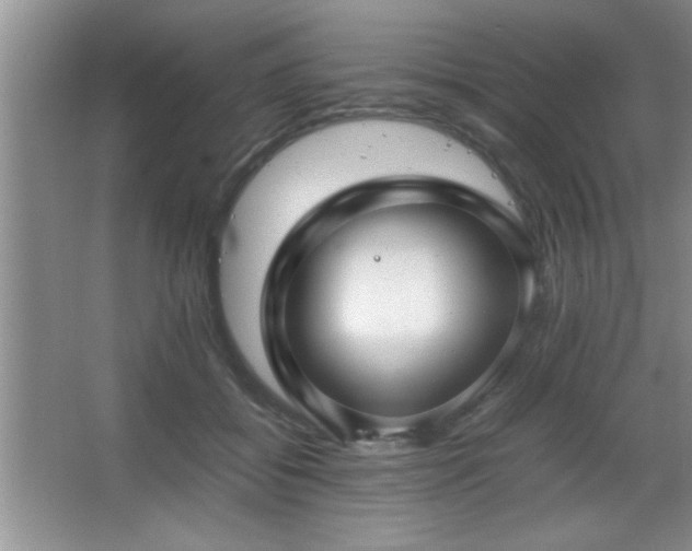 X0000067870556200604131239