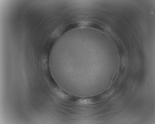 X0000067870557200604131239