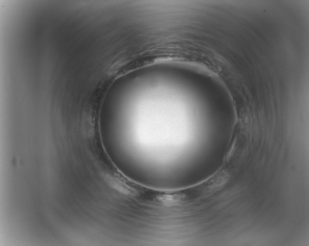 X0000067870558200604131239