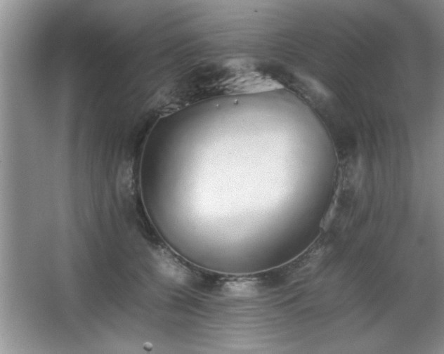 X0000067870560200604131239