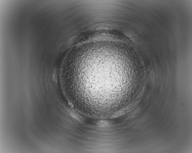 X0000067870562200604131239