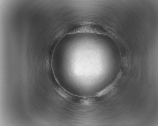 X0000067870564200604131239