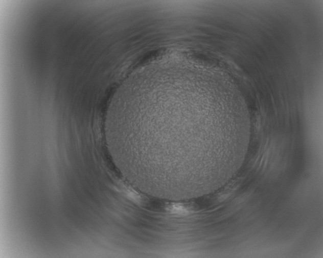 X0000067870565200604131239