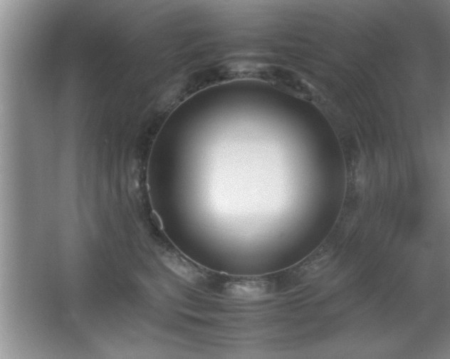 X0000067870567200604131239