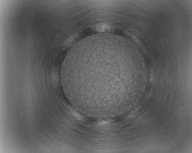 X0000067870569200604131239