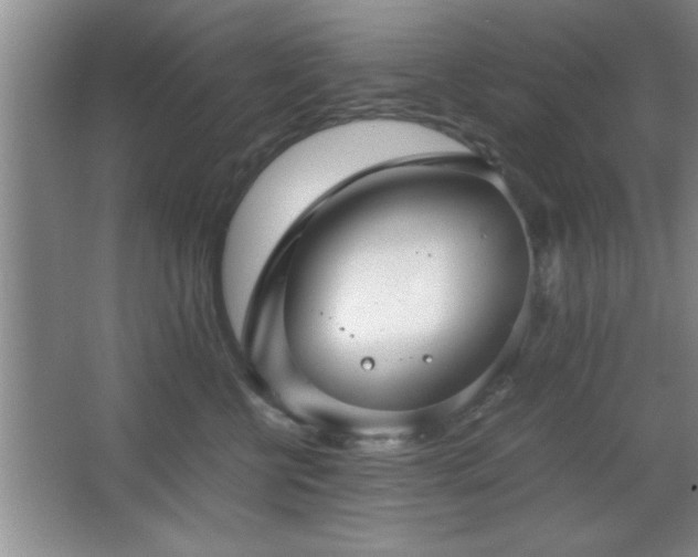 X0000067870570200604131239