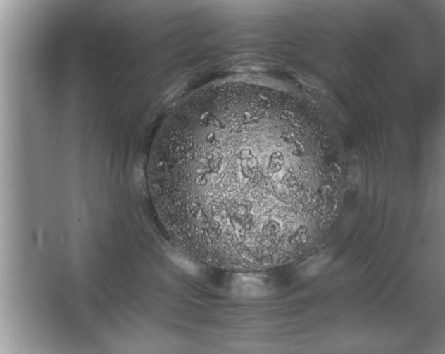 X0000067870573200604131239