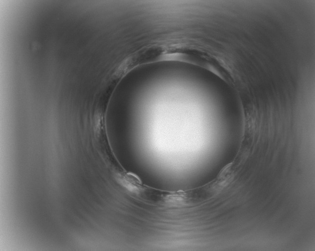 X0000067870574200604131239