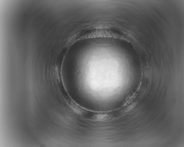 X0000067870575200604131239