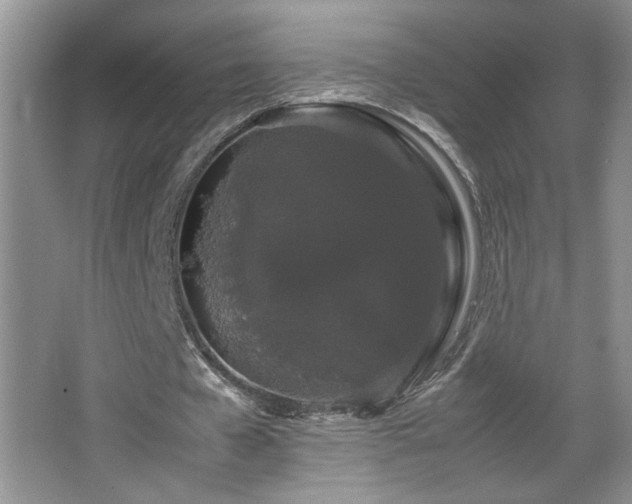 X0000067870577200604131238