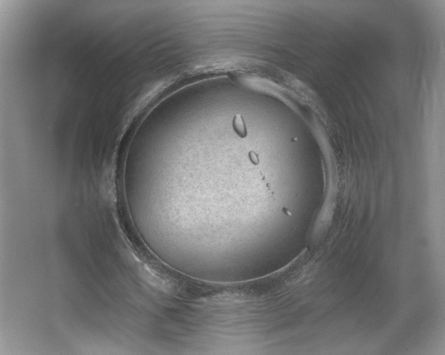 X0000067870578200604131238