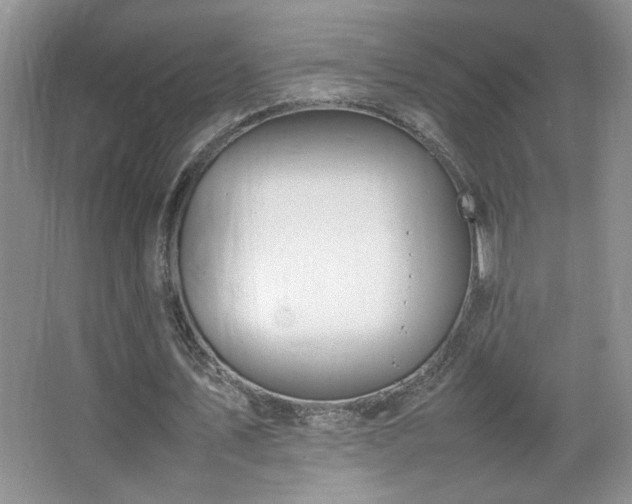 X0000067870579200604131238