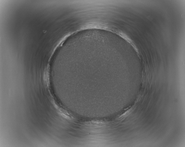 X0000067870580200604131238