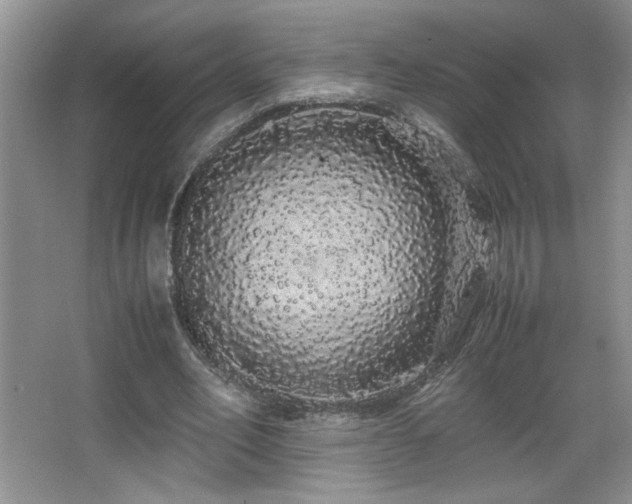 X0000067870582200604131238