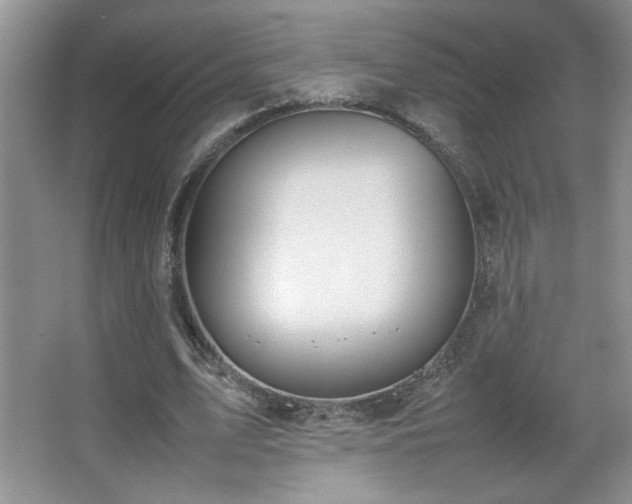 X0000067870583200604131238