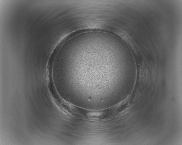 X0000067870584200604131238