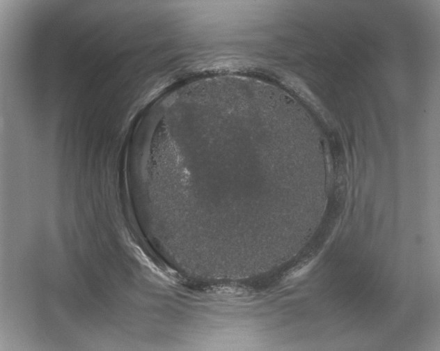 X0000067870585200604131238