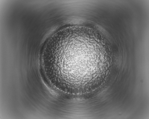 X0000067870586200604131238