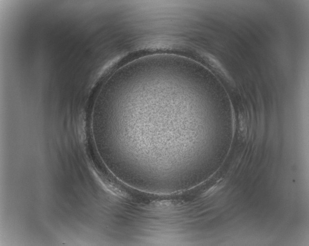 X0000067870588200604131238