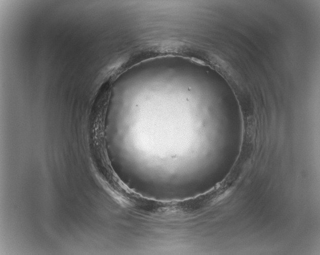 X0000067870589200604131238