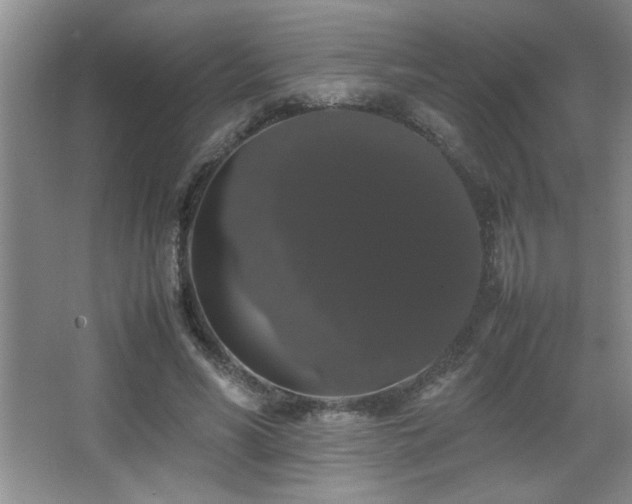 X0000067870590200604131238