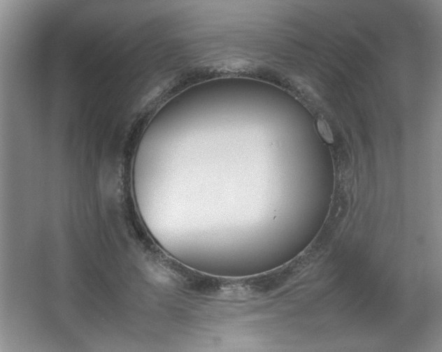 X0000067870591200604131238