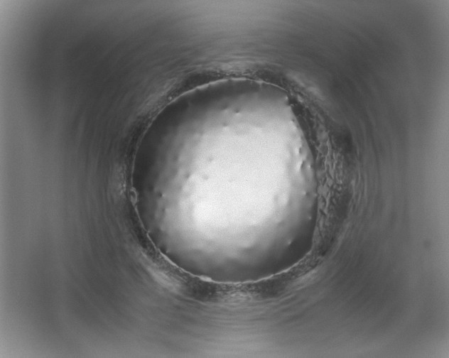 X0000067870593200604131238