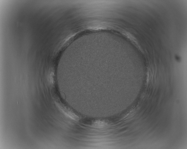 X0000067870596200604131238