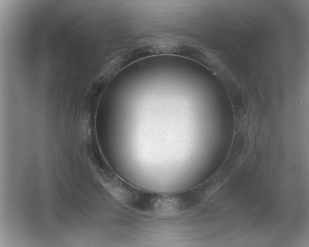 X0000067870599200604131238