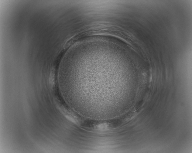 X0000067870600200604131238