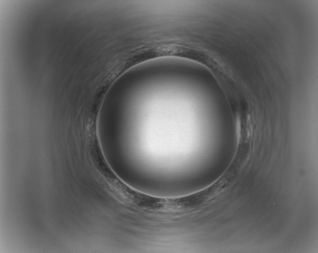 X0000067870601200604131238