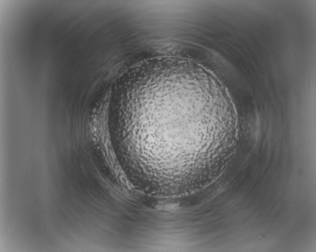 X0000067870602200604131238