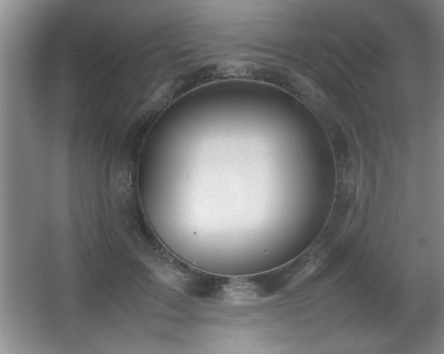 X0000067870603200604131238