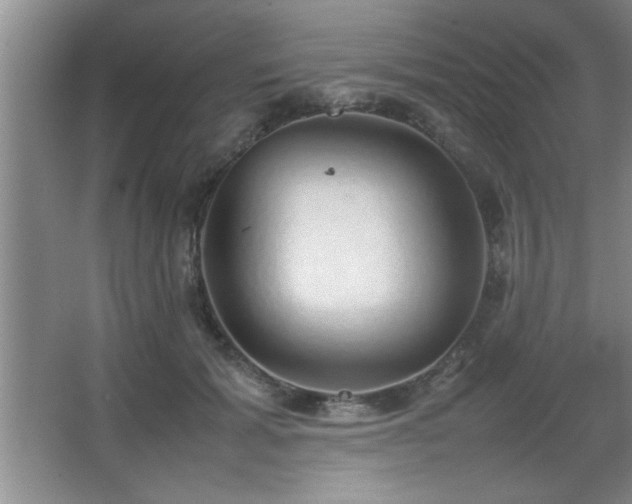 X0000067870605200604131238