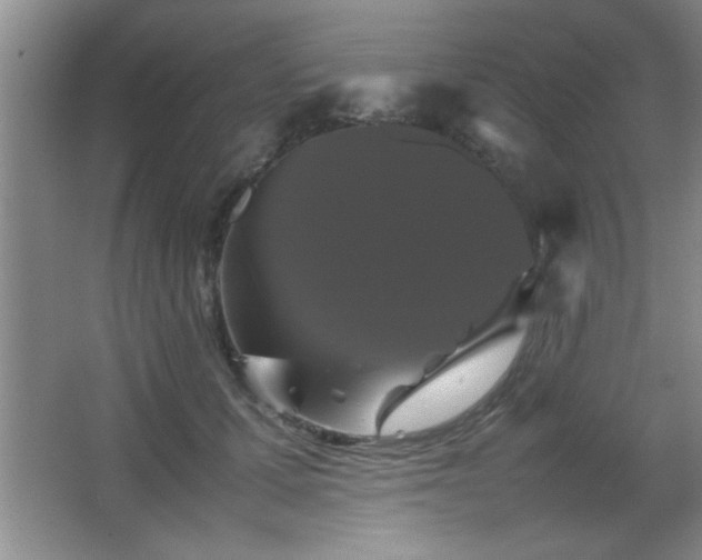 X0000067870607200604131238