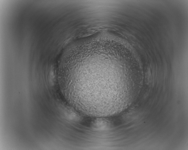 X0000067870608200604131238