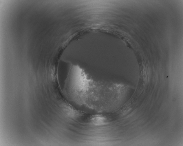 X0000067870610200604131238